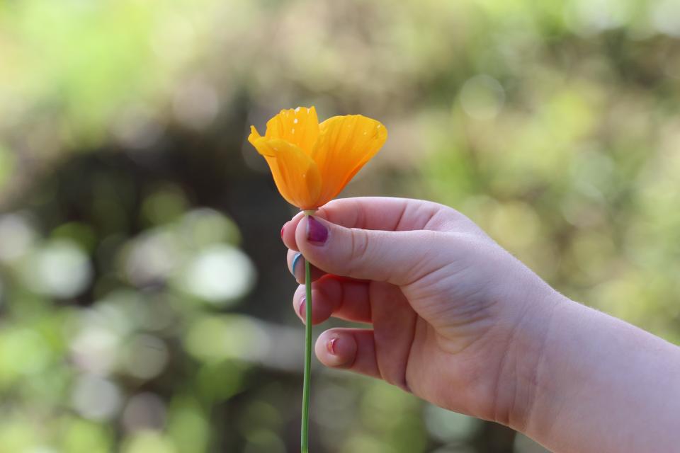 Hand Flower