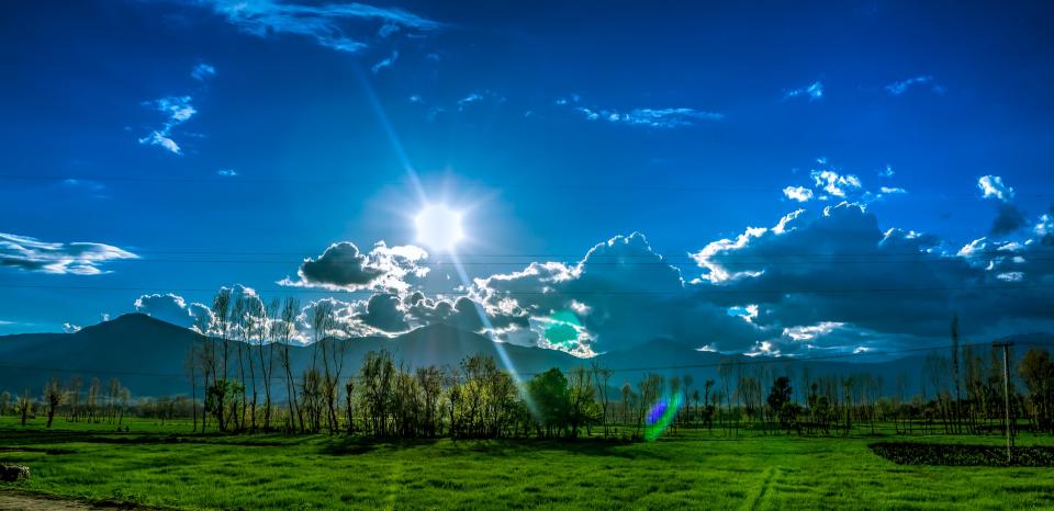 Landscape Nature