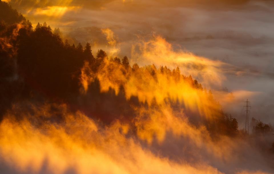 Nature Landscape