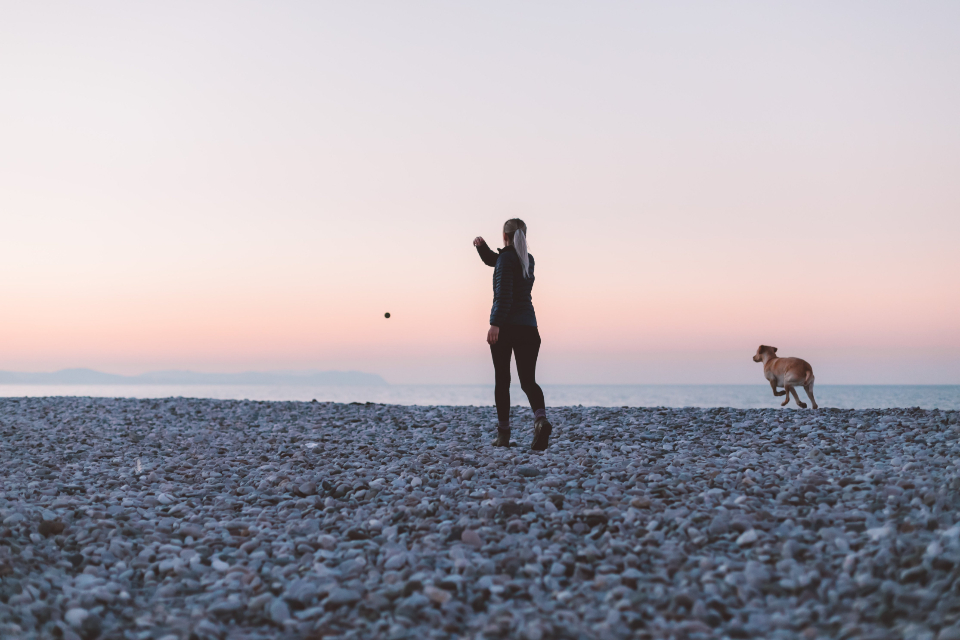 Walking Dog