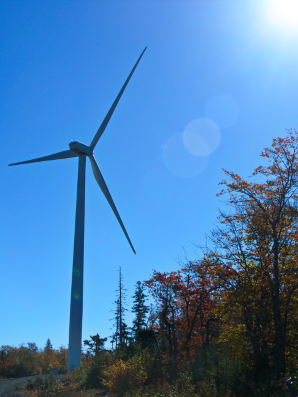 Wind Mill