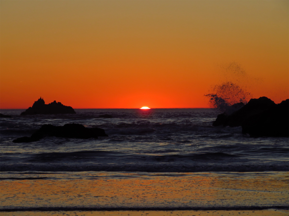 Warm Ocean