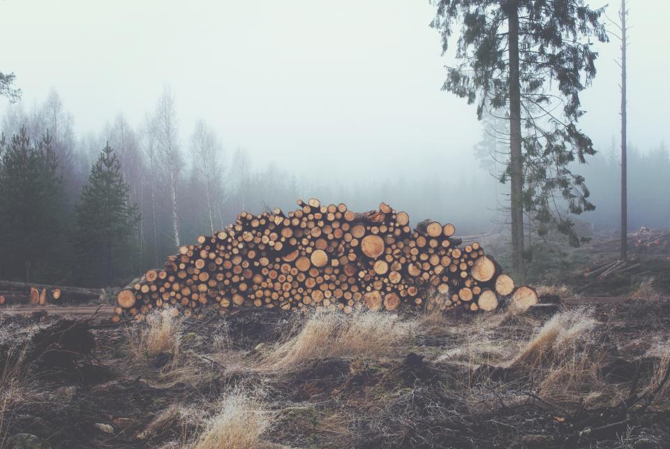 Grey Fog