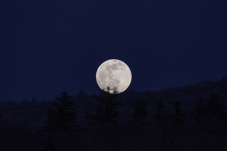 Moon Night