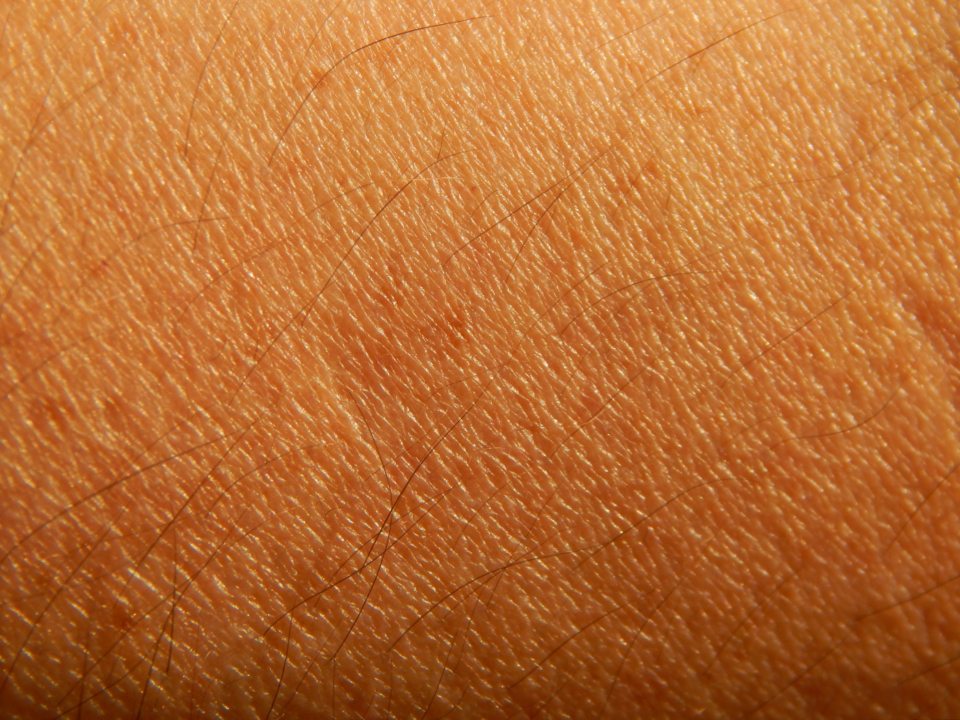 Skin Texture