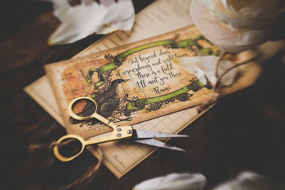 Crafts Scissors