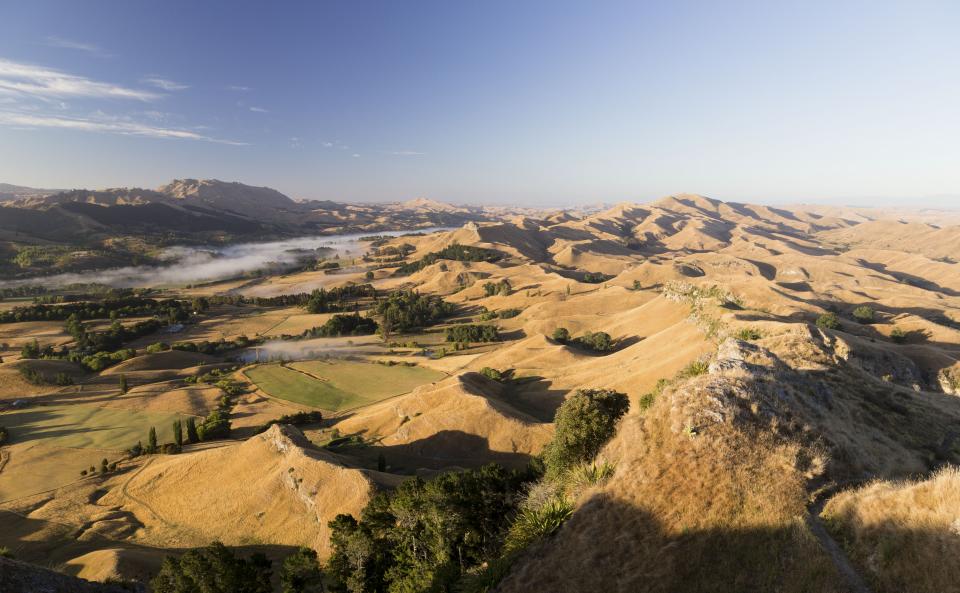 Nature Landscape