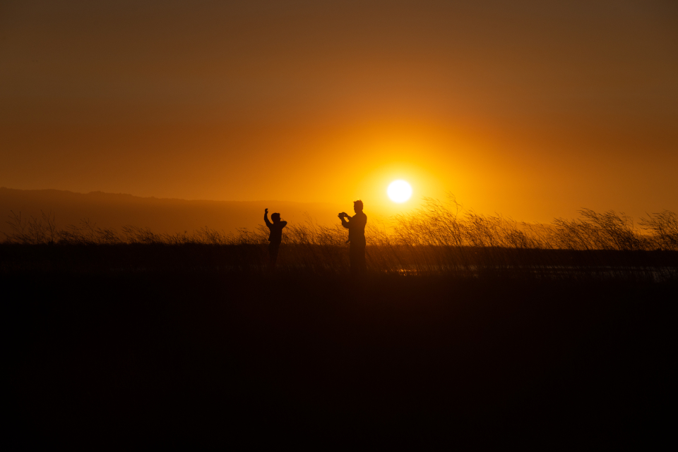 Sunset Golden