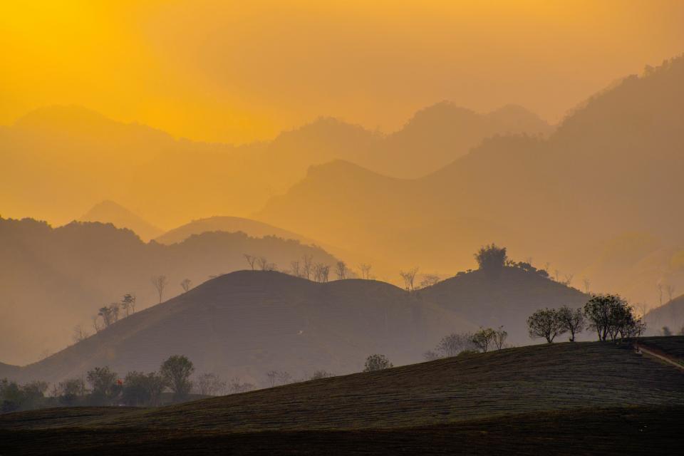 Nature Landscape