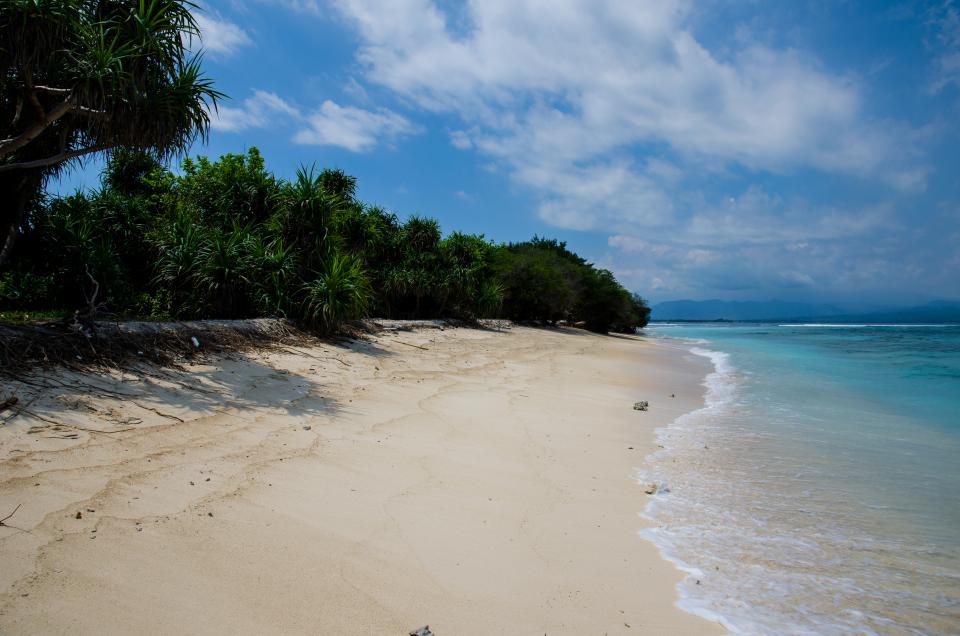 Beach Sand