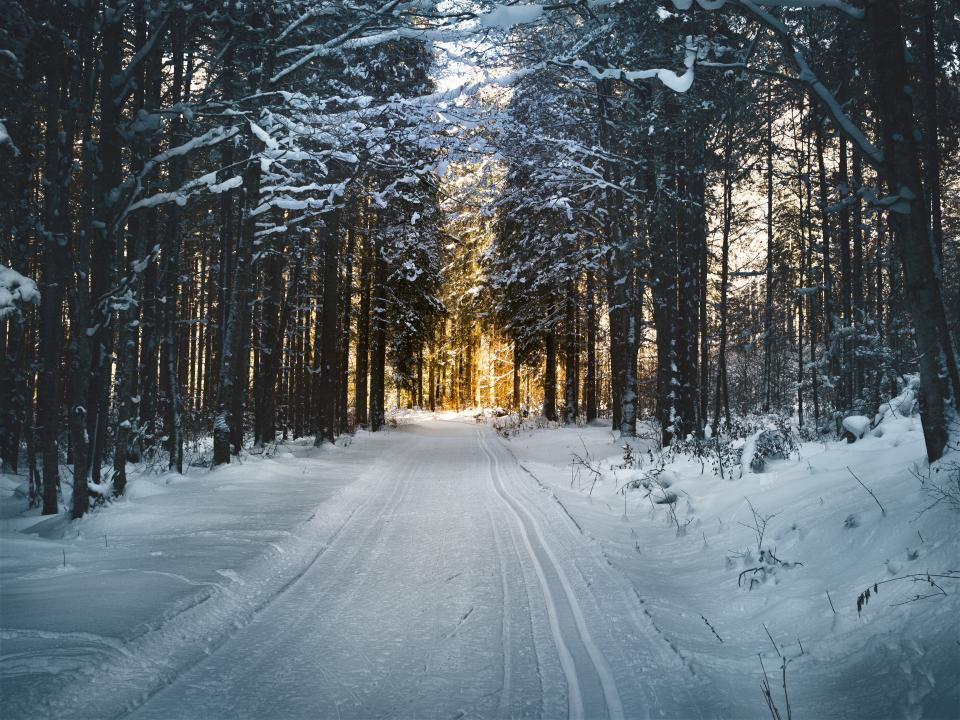 Snow Winter