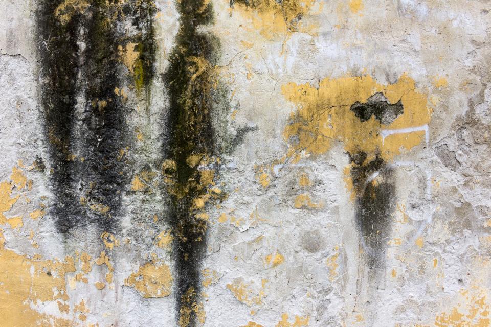 Concrete Wall