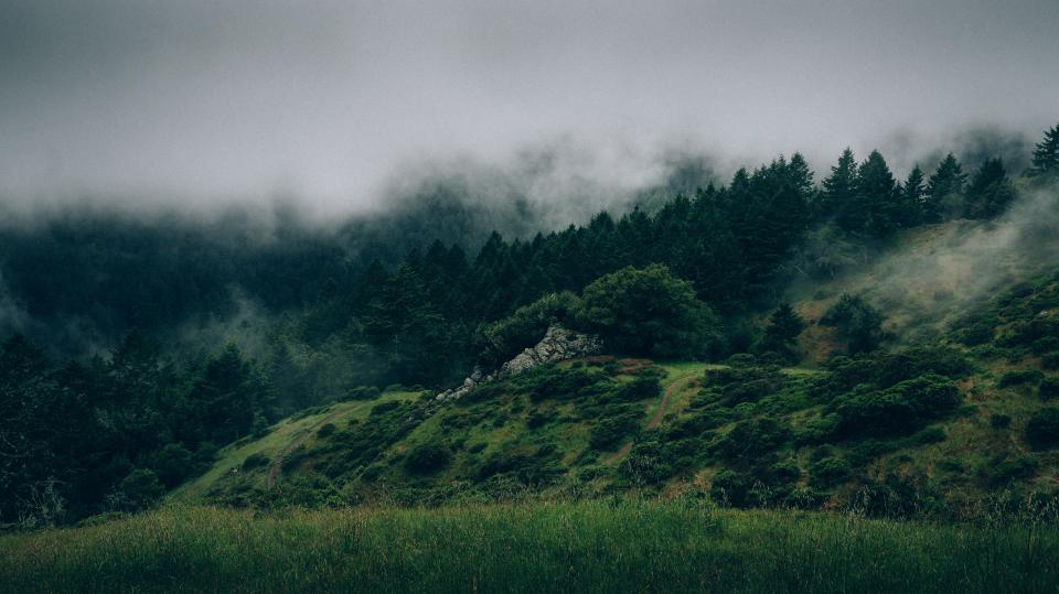 Green Trees