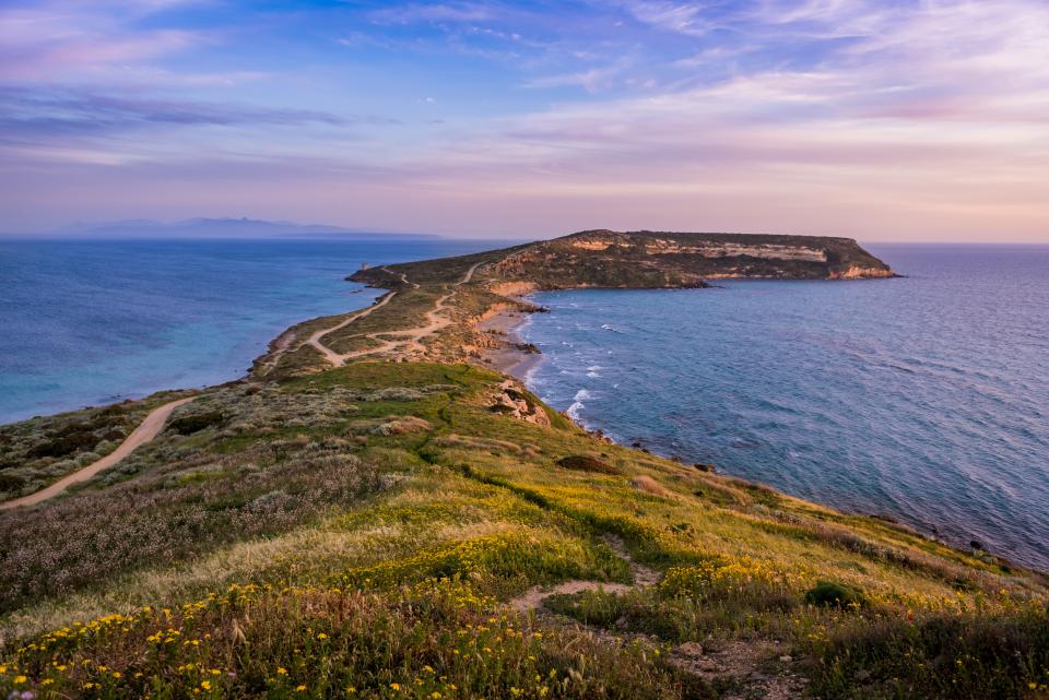 Nature Landscape