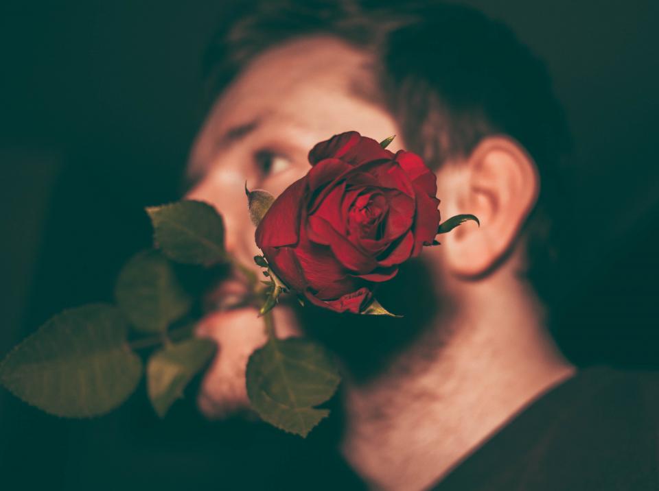 Flower Red