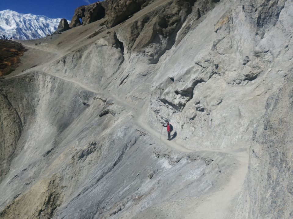 Nature Himalayas