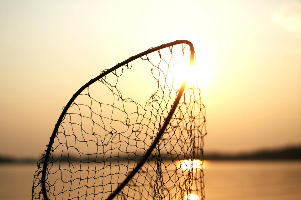 Net Fishing