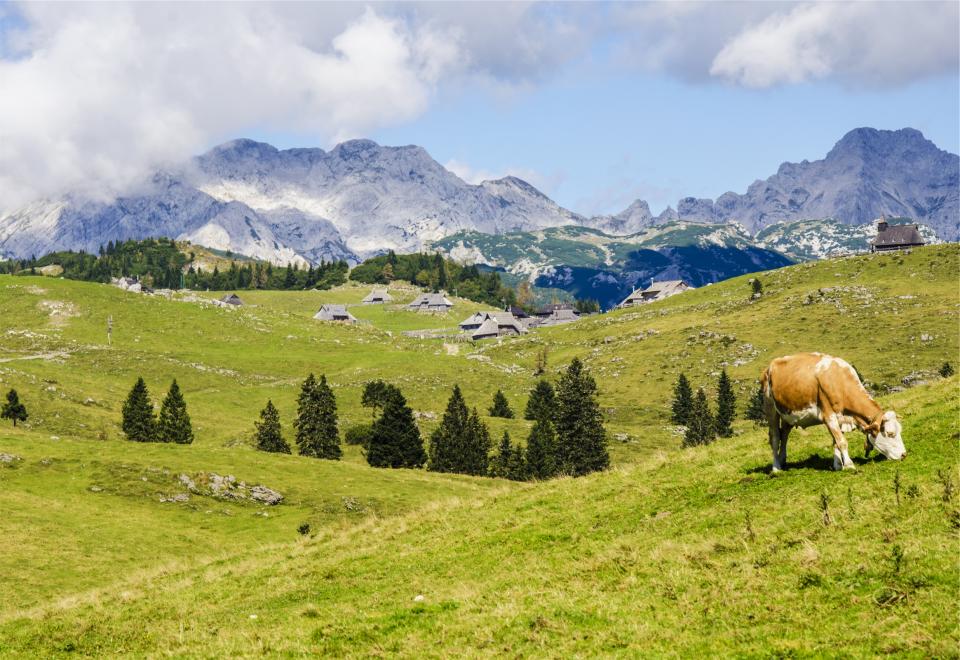 Landscape Green