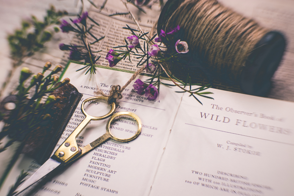 Crafts Scissors