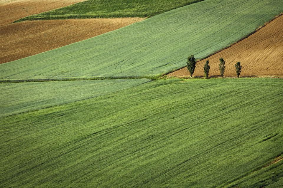 Nature Land
