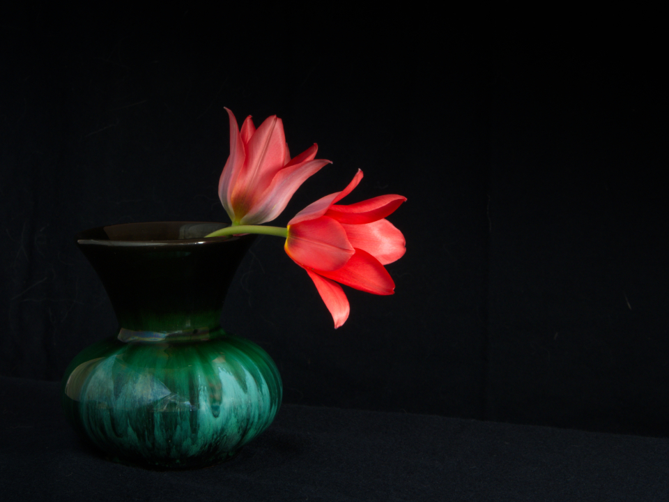 Flower Still Life