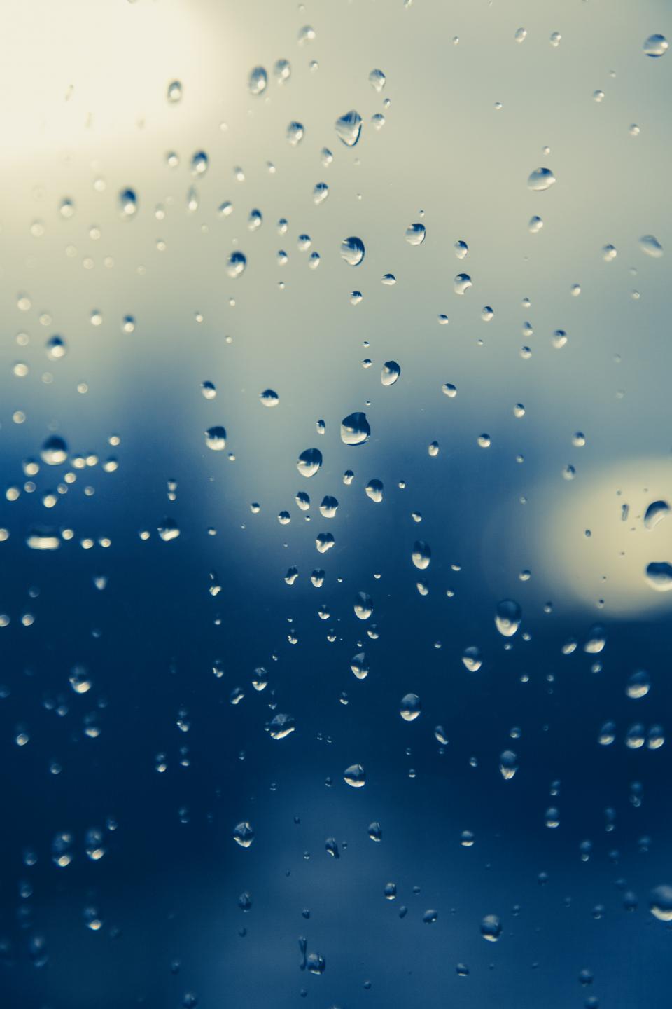Water Wet