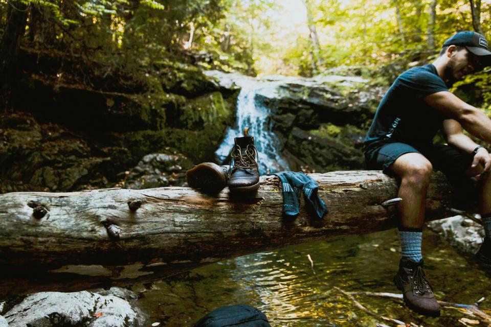 Nature Woods