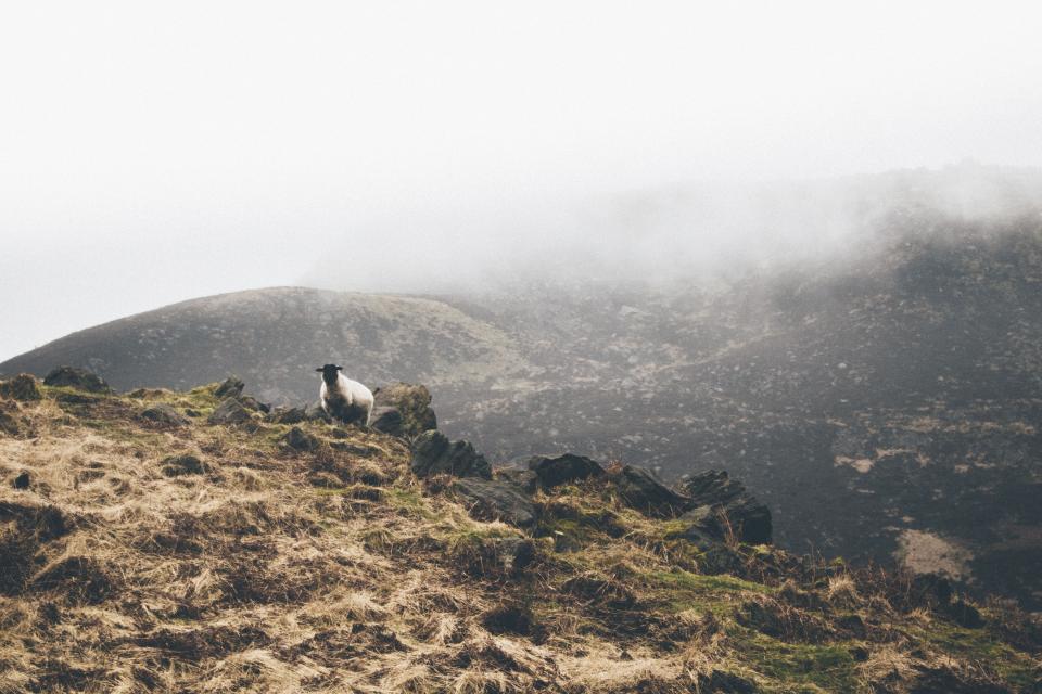 Mountain Highland
