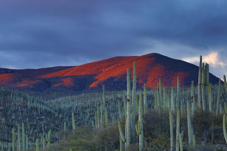 Nature Landscape