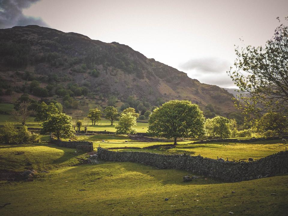 Green Field