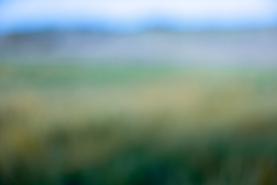 Defocused Nature