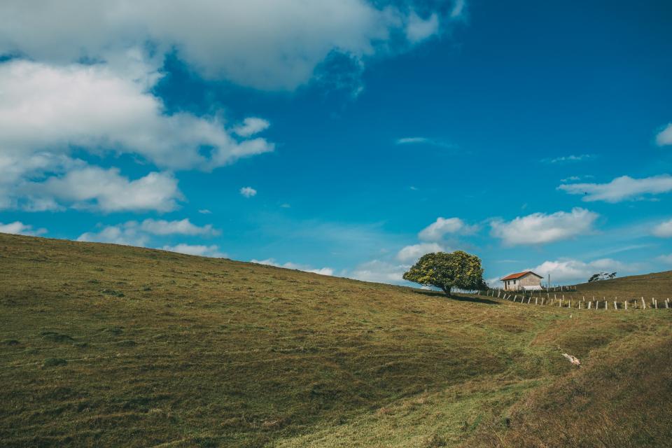Nature Landscape