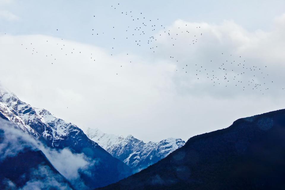 Mountain Snow