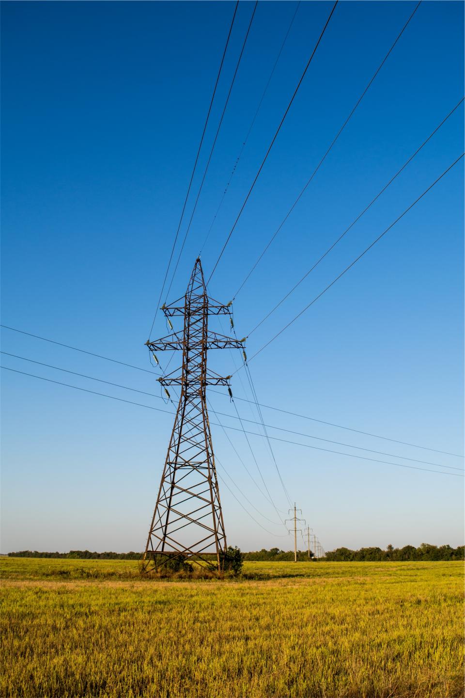 Power Lines Grass