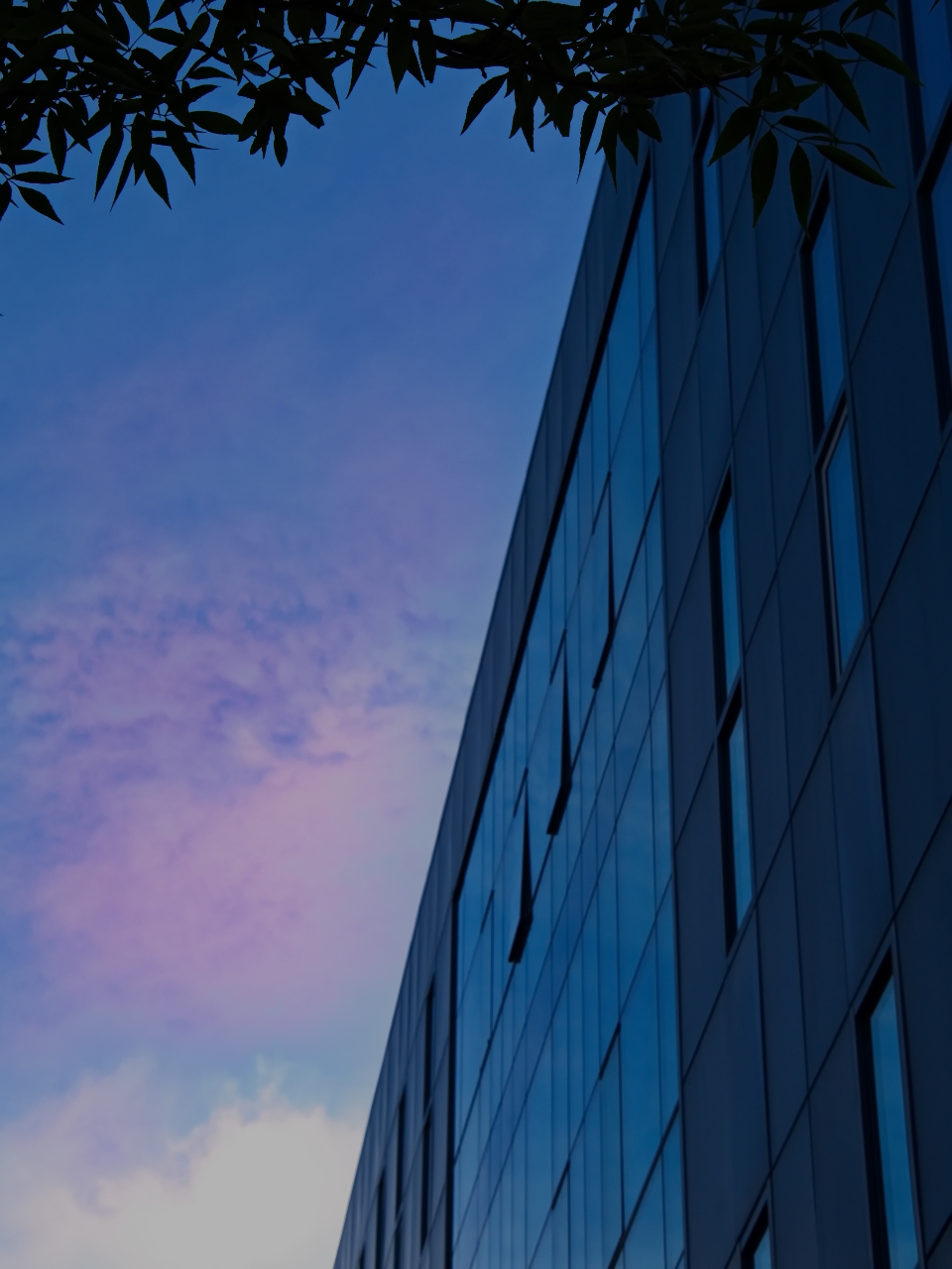 Modern Building