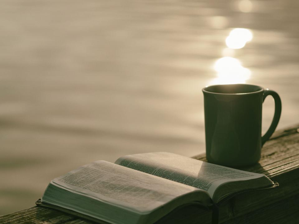 Book Pages