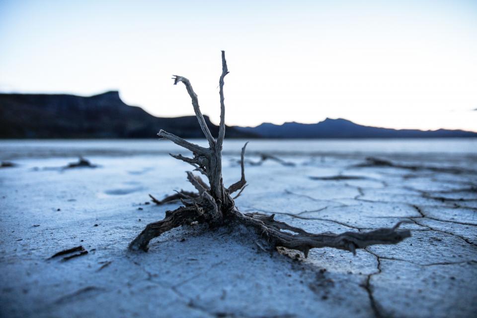 Land Soil