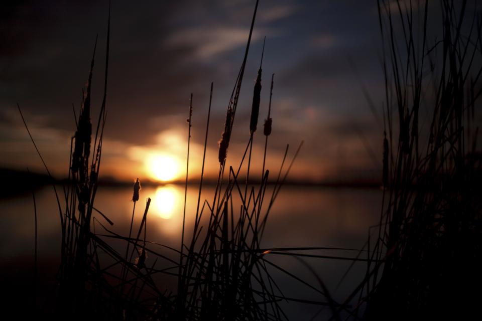 Nature Sunset