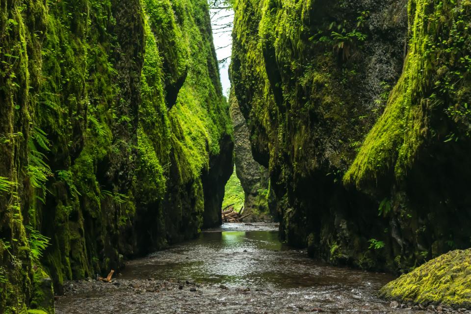 River Stream