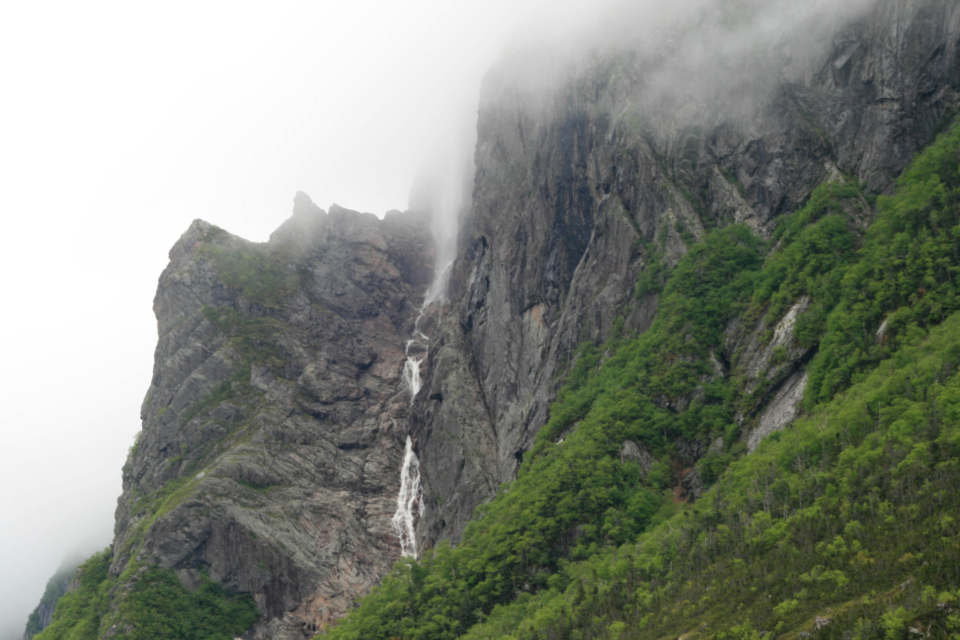 Foggy Mountain
