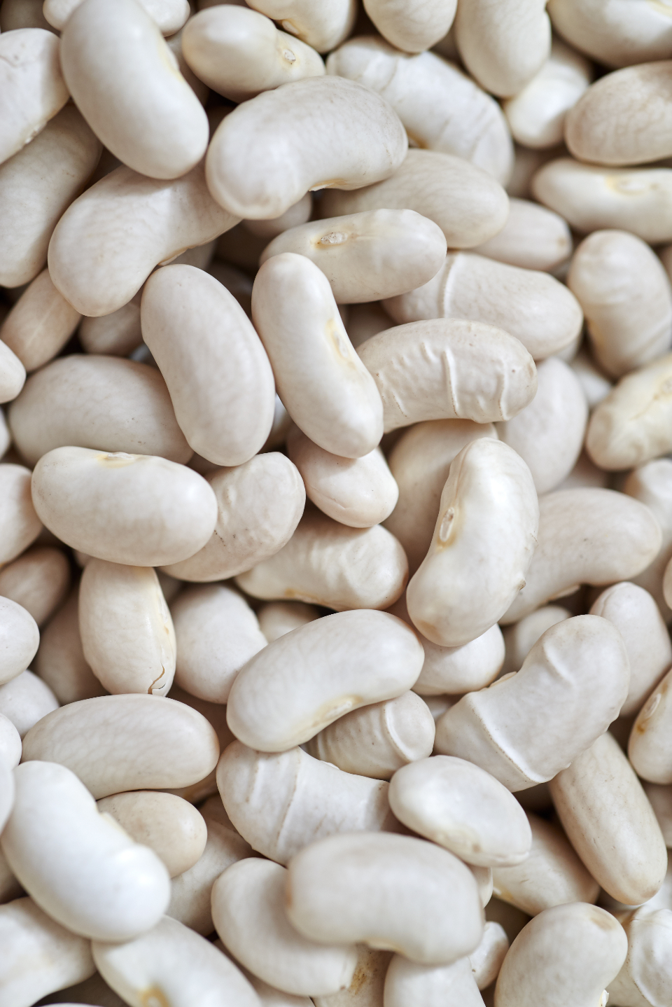 White Beans
