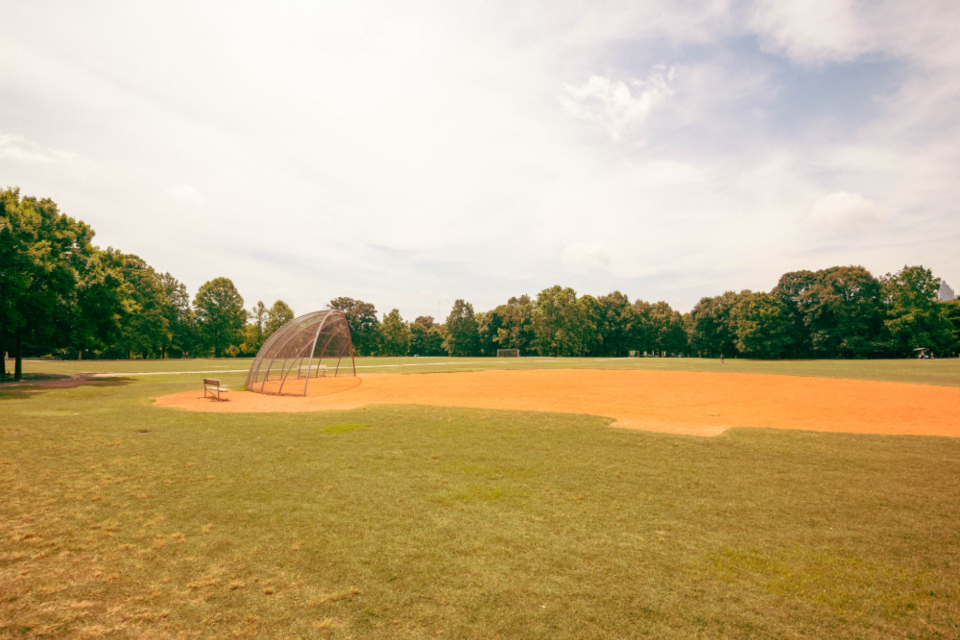 Sport Grass