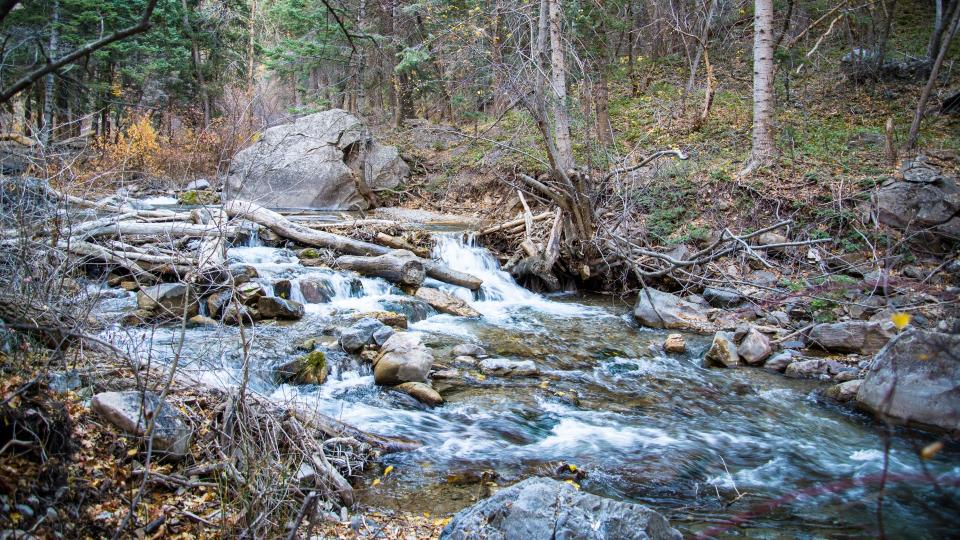 Stream Water