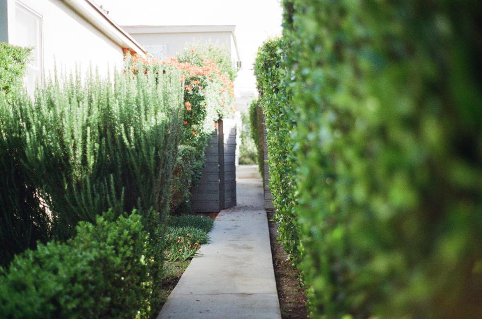 Walkway Stones