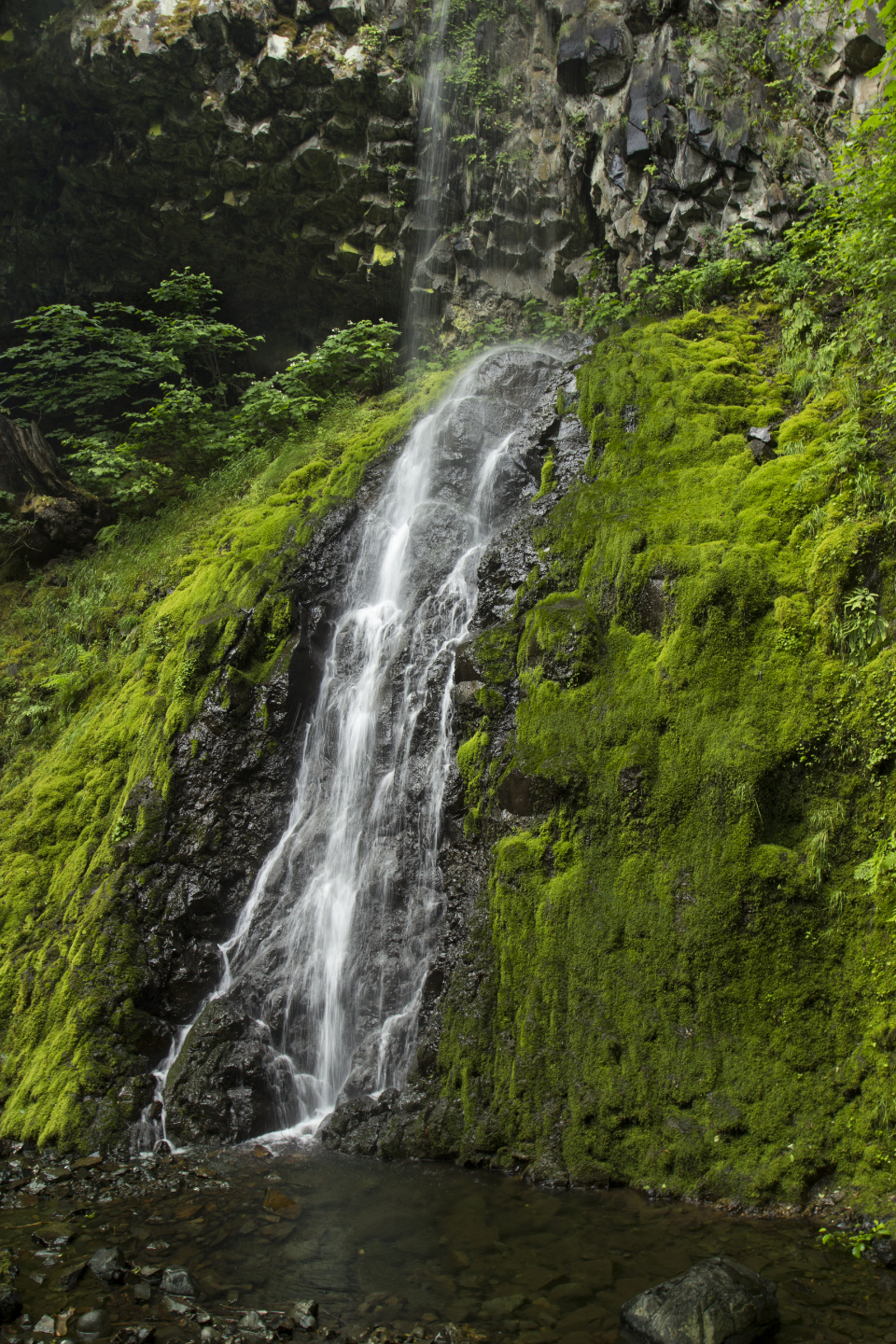 Waterfall Nature