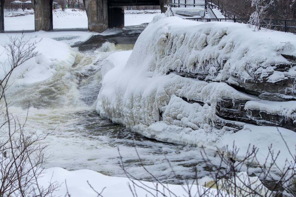 Frozen Nature