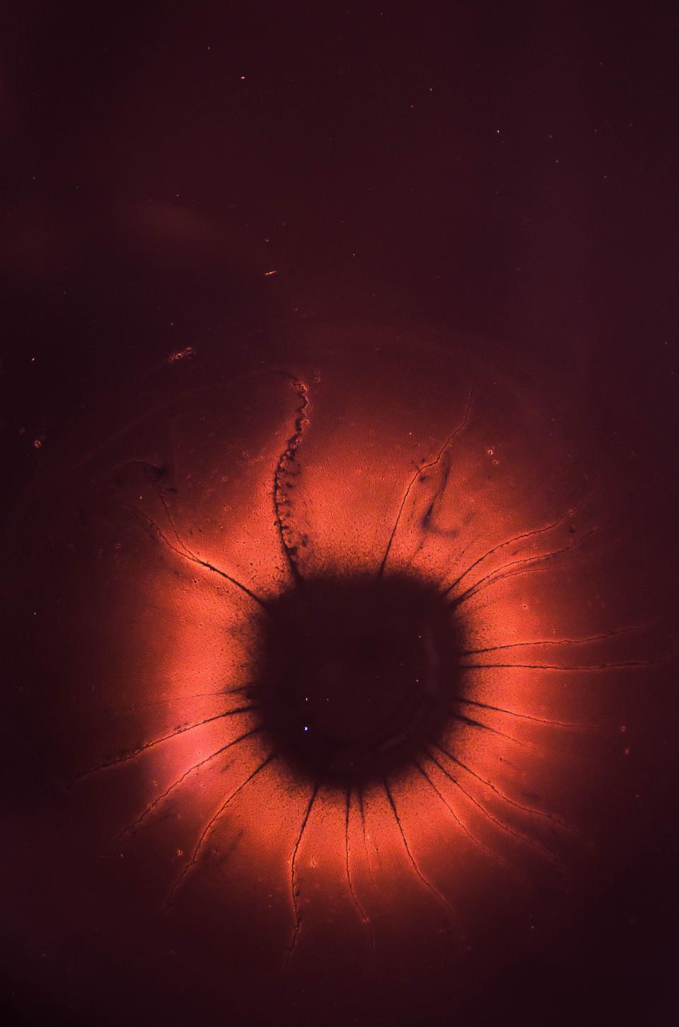 Eye Red