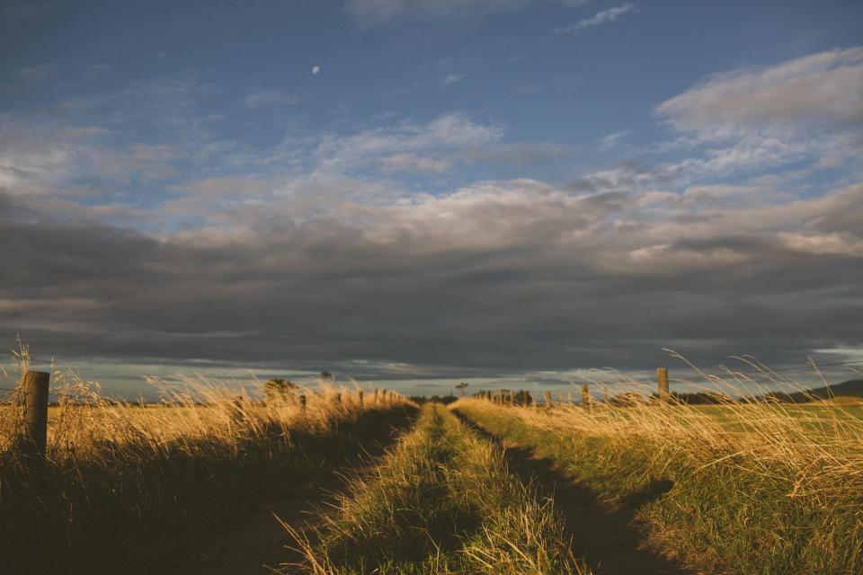 Grey Cloud