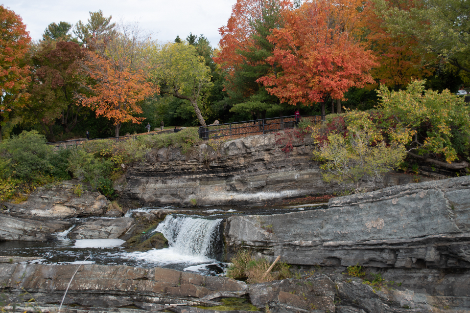 Fall Foliage