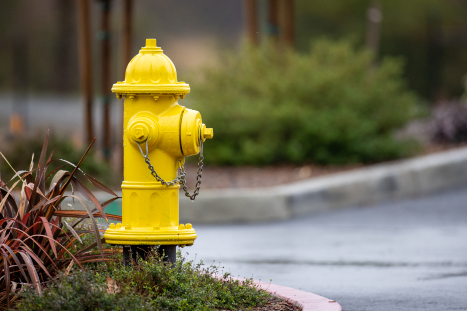 Fire Hydrant